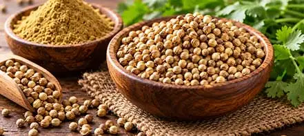 Health Benefits of Sambar Masala Powder
