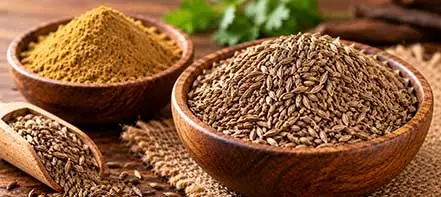 Health Benefits of Sambar Masala Powder